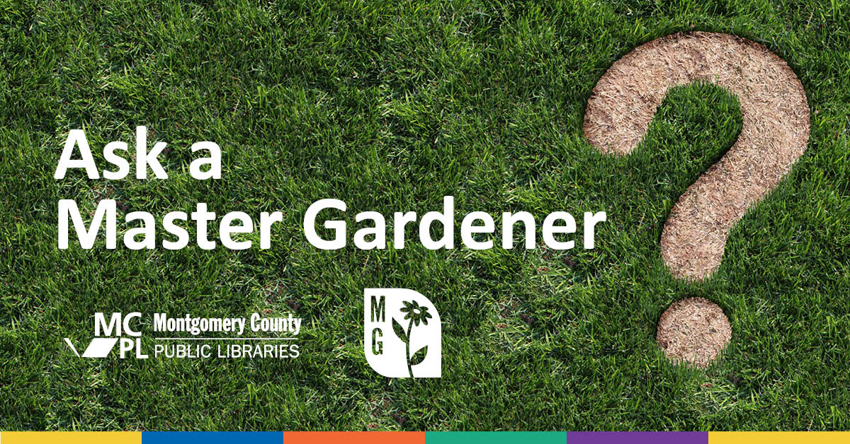 Visit Master Gardener Plant Clinics at MCPL This Spring & Summer!